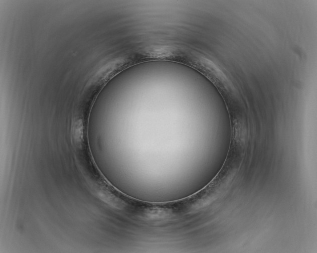 X0000112350549200908131430
