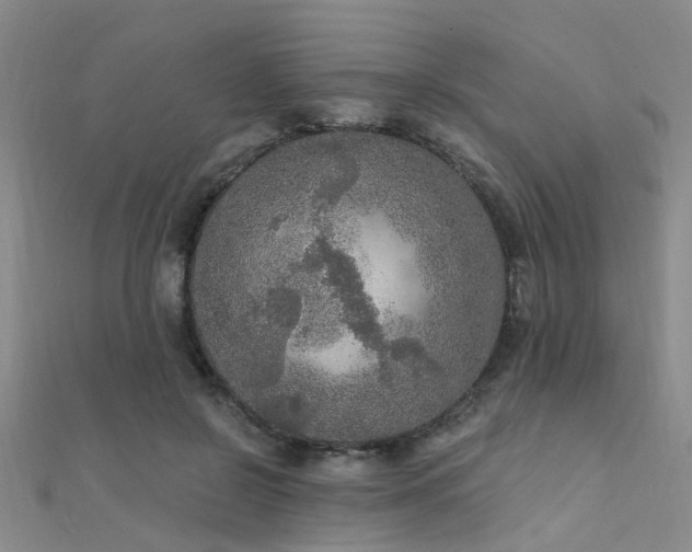 X0000112350550200908131430