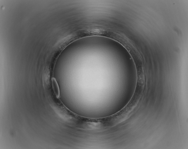 X0000112350552200908131430