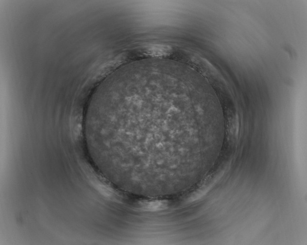 X0000112350553200908131430