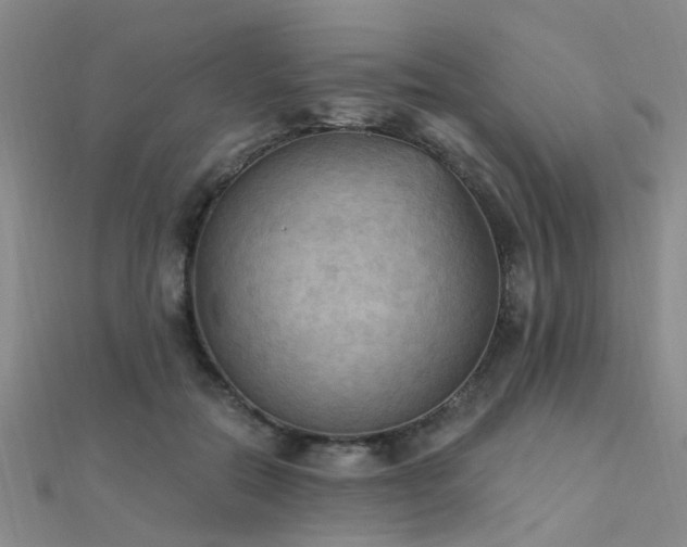 X0000112350554200908131430