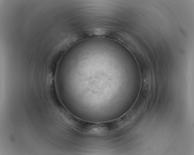 X0000112350555200908131430