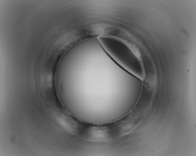 X0000112350556200908131430