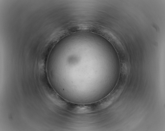 X0000112350557200908131430