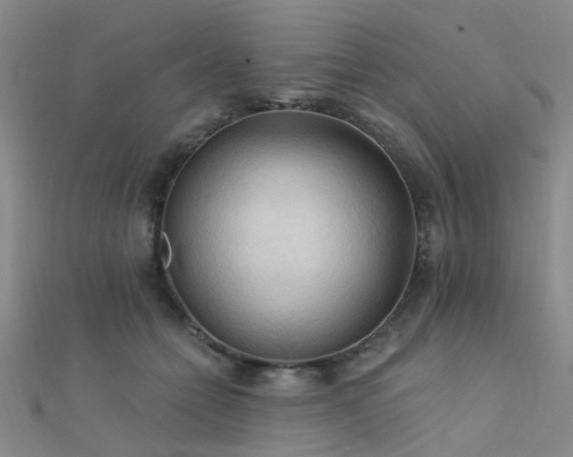 X0000112350558200908131430