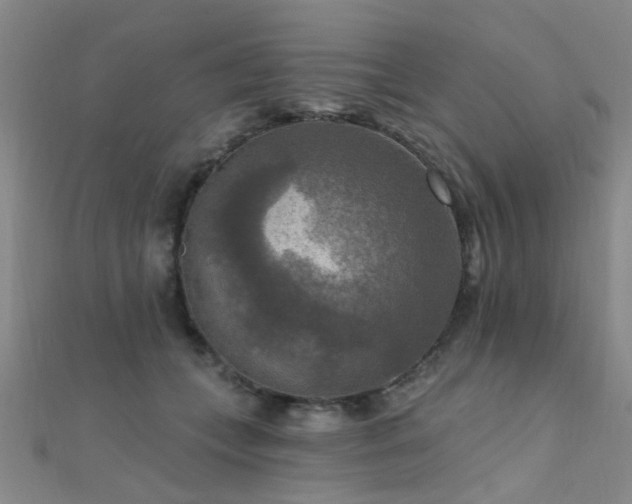 X0000112350559200908131430