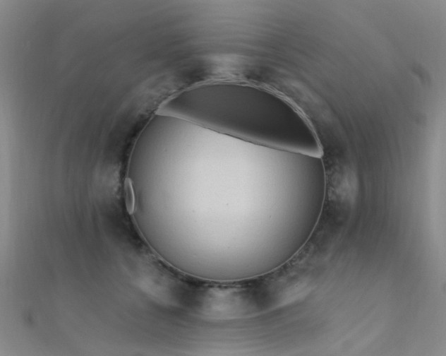 X0000112350560200908131430
