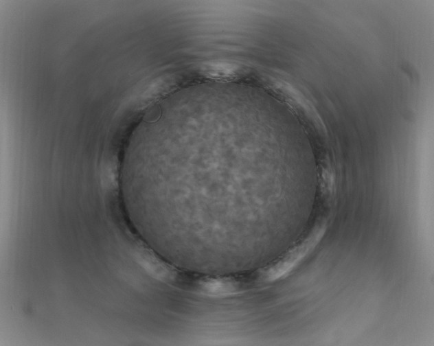 X0000112350561200908131430