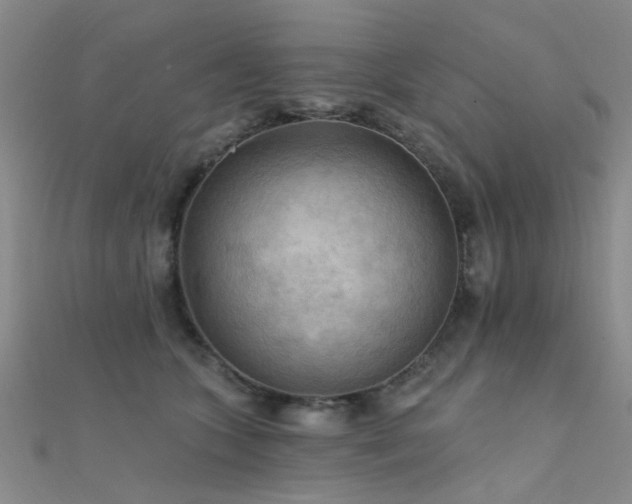X0000112350563200908131430