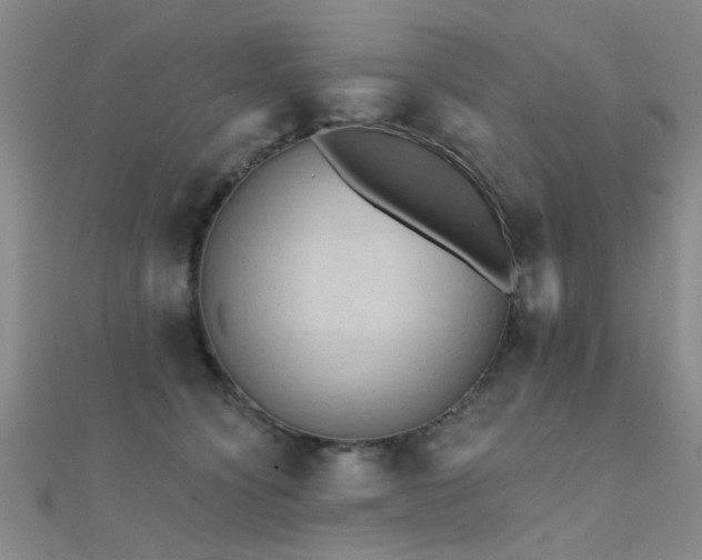 X0000112350564200908131430