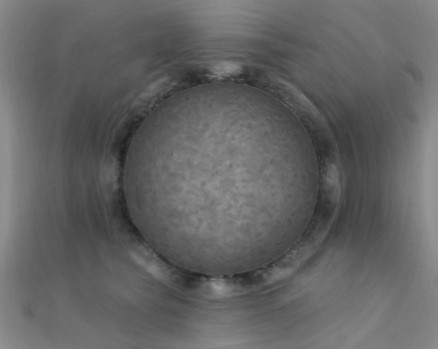 X0000112350565200908131430