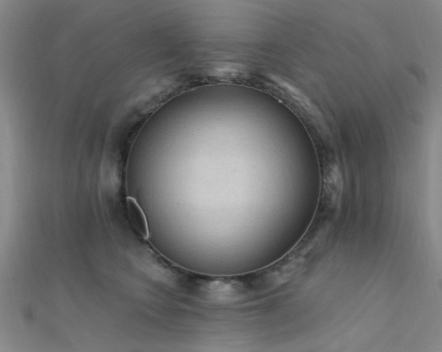 X0000112350566200908131431