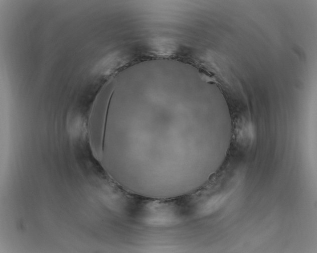 X0000112350568200908131431