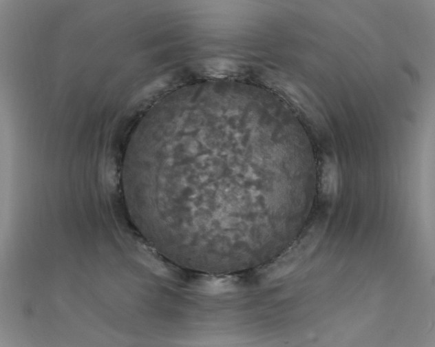 X0000112350569200908131431
