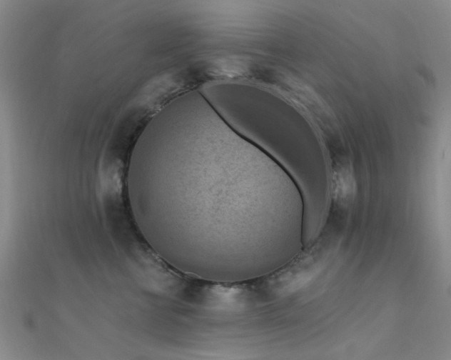 X0000112350570200908131431