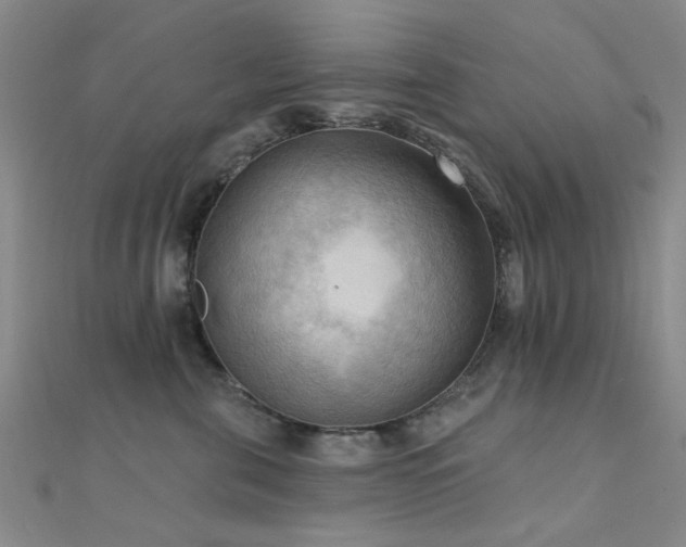 X0000112350571200908131431
