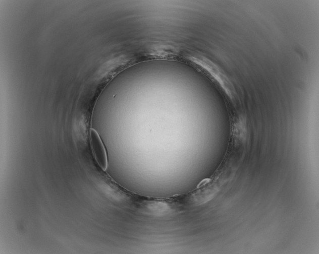 X0000112350572200908131431