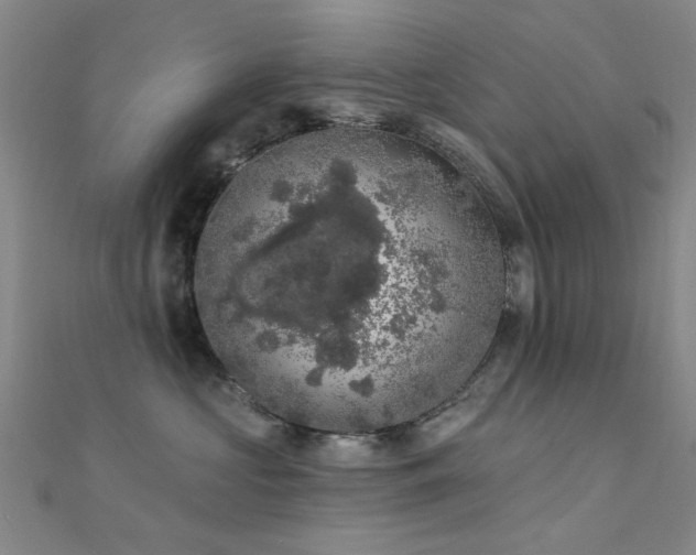 X0000112350573200908131431