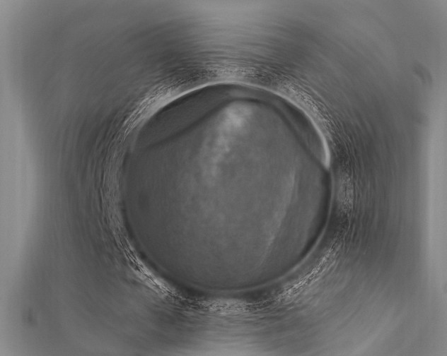 X0000112350577200908131430