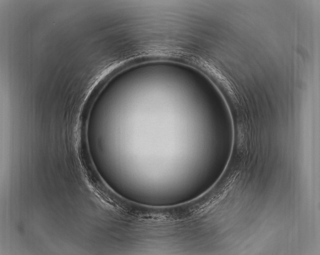X0000112350580200908131430