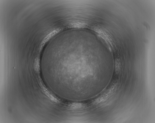 X0000112350581200908131430