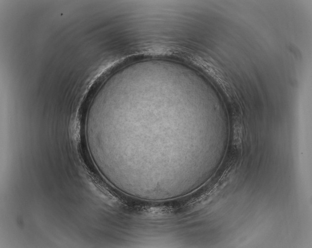 X0000112350584200908131430