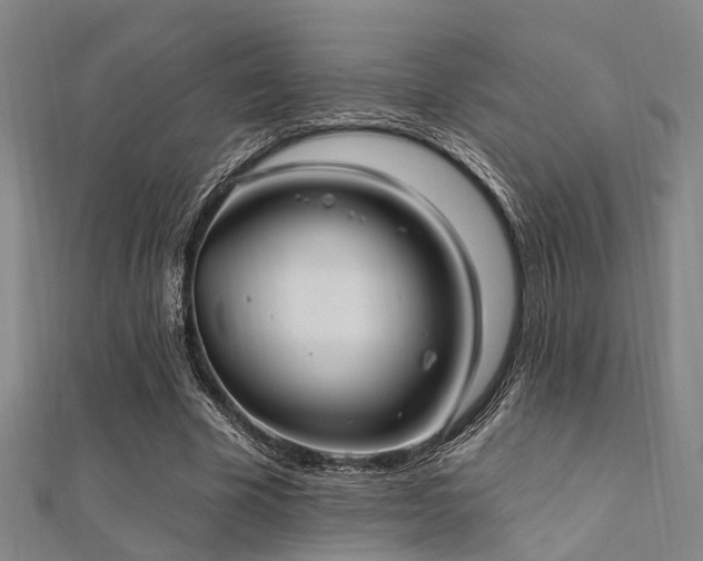 X0000112350585200908131430