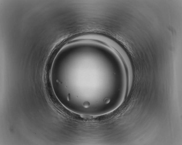 X0000112350587200908131430