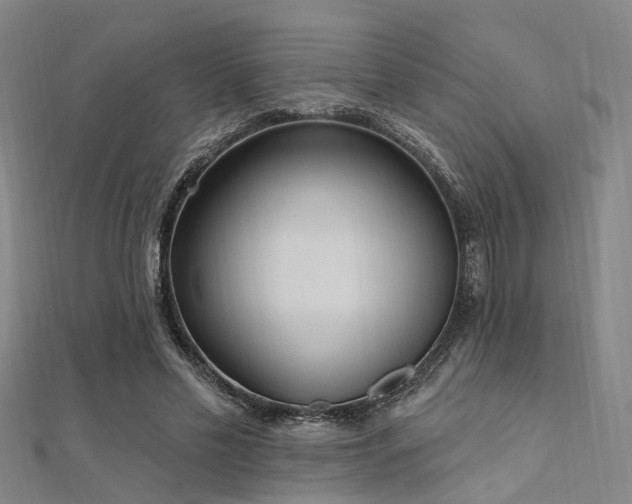 X0000112350589200908131430