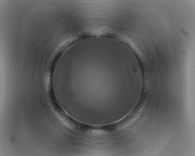 X0000112350590200908131430