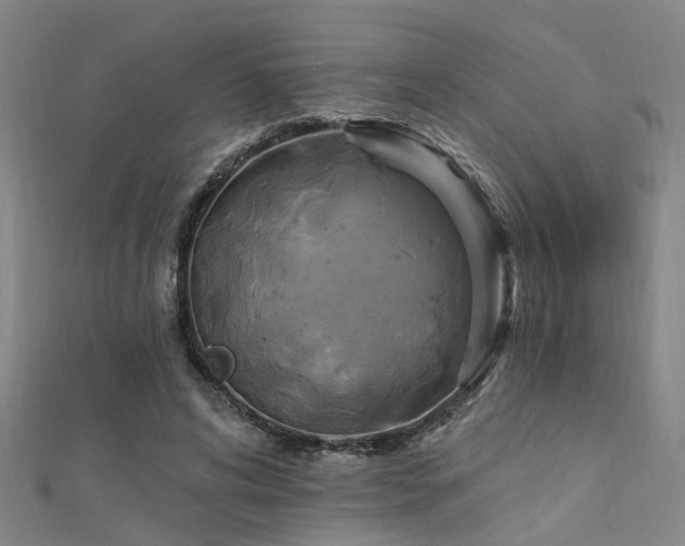 X0000112350592200908131430
