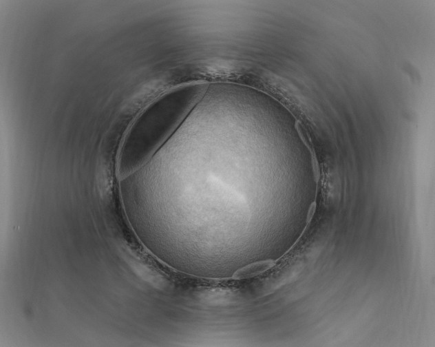 X0000112350593200908131430