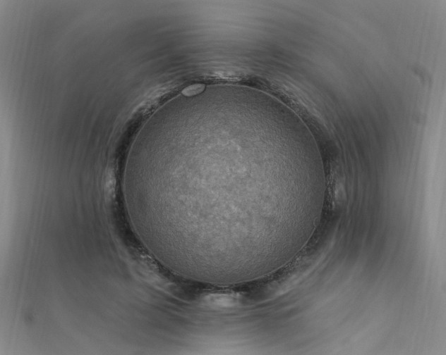 X0000112350595200908131430