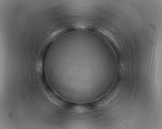 X0000112350596200908131430
