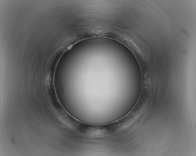 X0000112350597200908131430