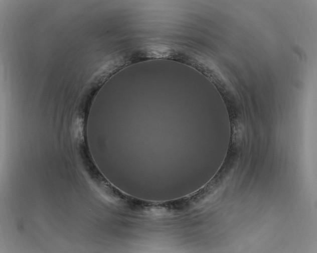 X0000112350598200908131430