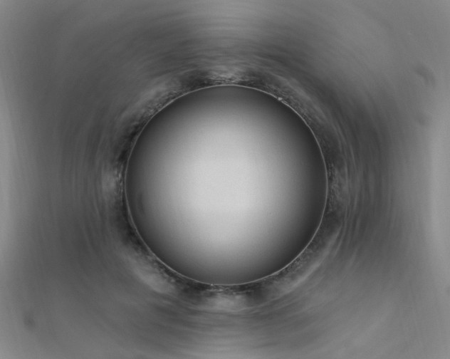 X0000112350601200908131430