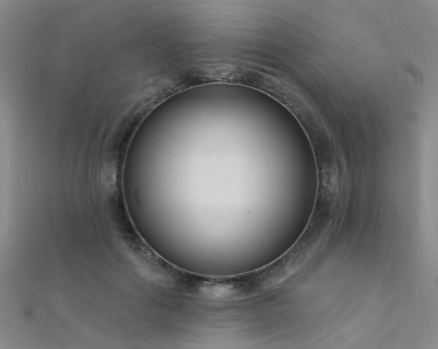 X0000112350602200908131430