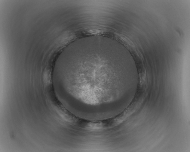 X0000112350606200908131430