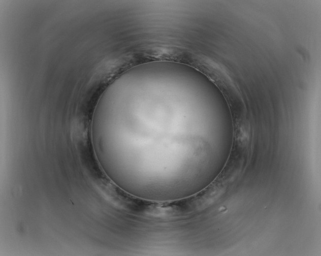 X0000112350607200908131430