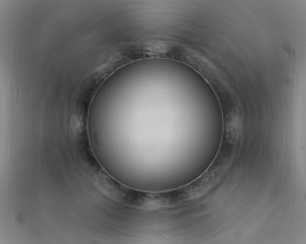 X0000112350608200908131430