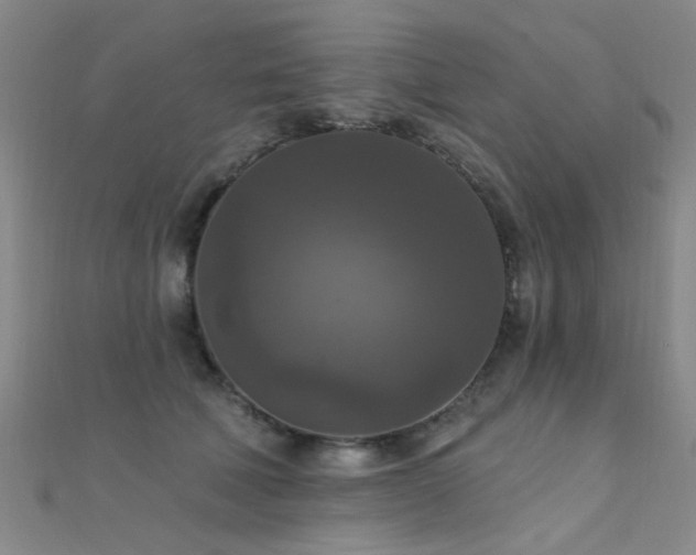 X0000112350610200908131430