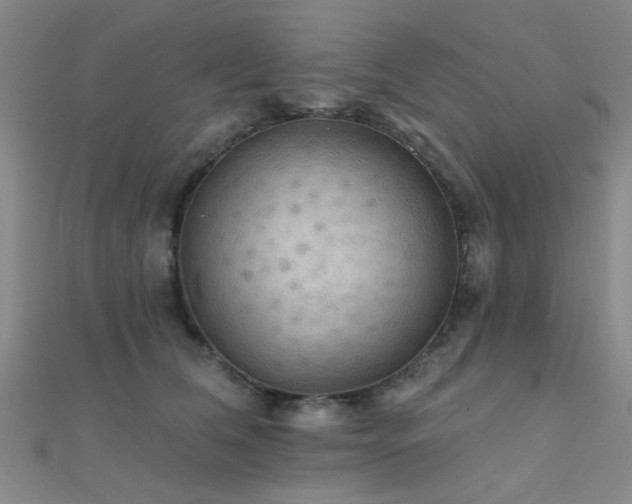 X0000112350612200908131430
