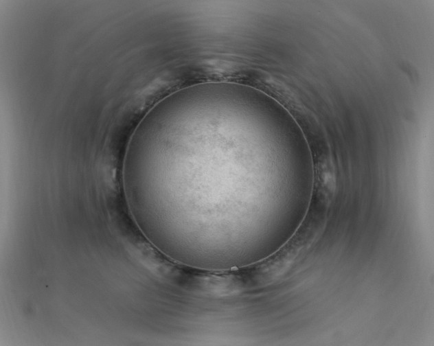 X0000112350615200908131430