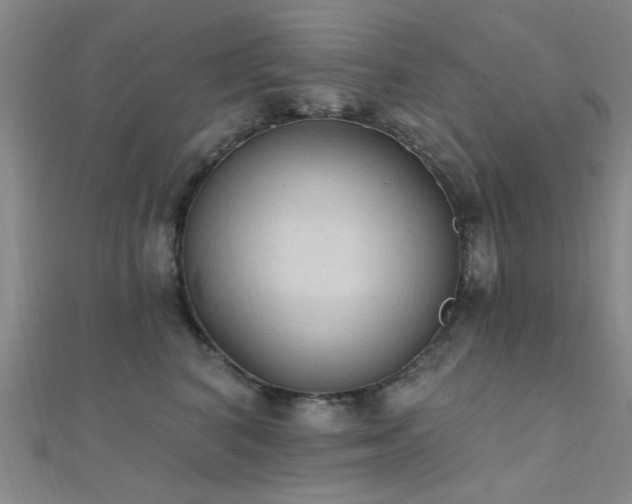 X0000112350616200908131430