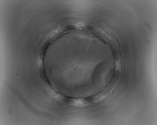 X0000112350618200908131429