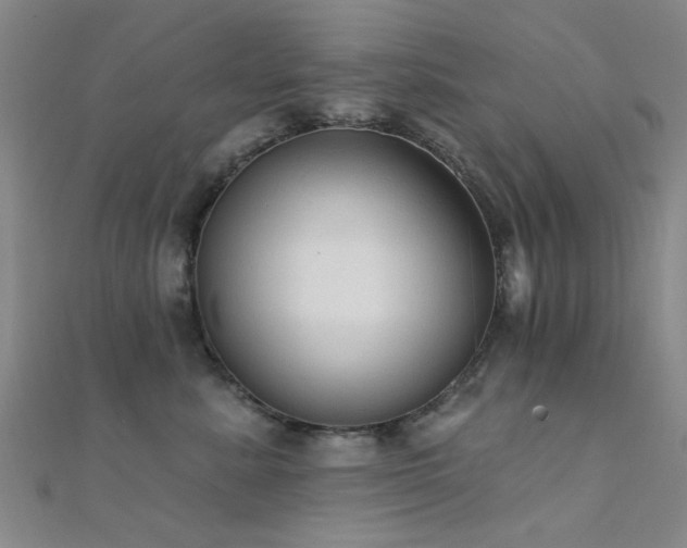 X0000112350619200908131429