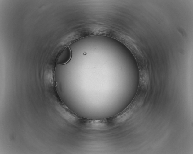 X0000112350622200908131429