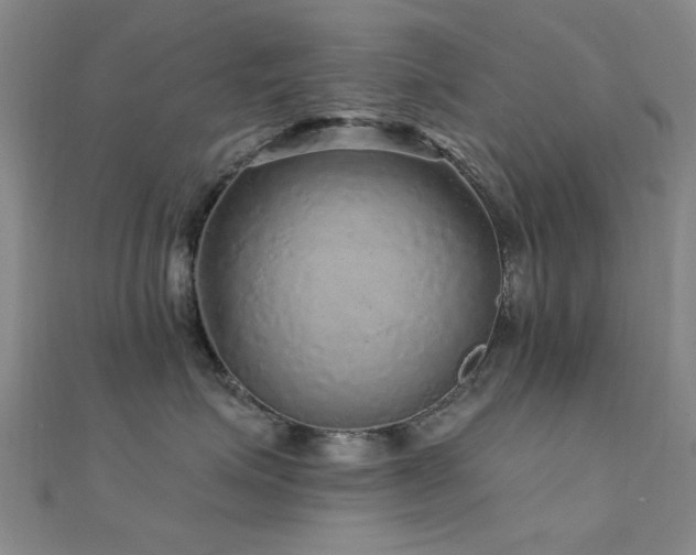X0000112350623200908131429