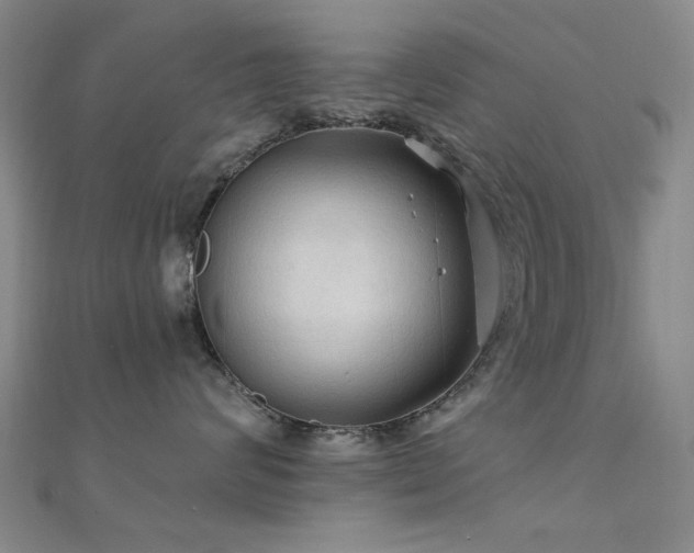 X0000112350624200908131429
